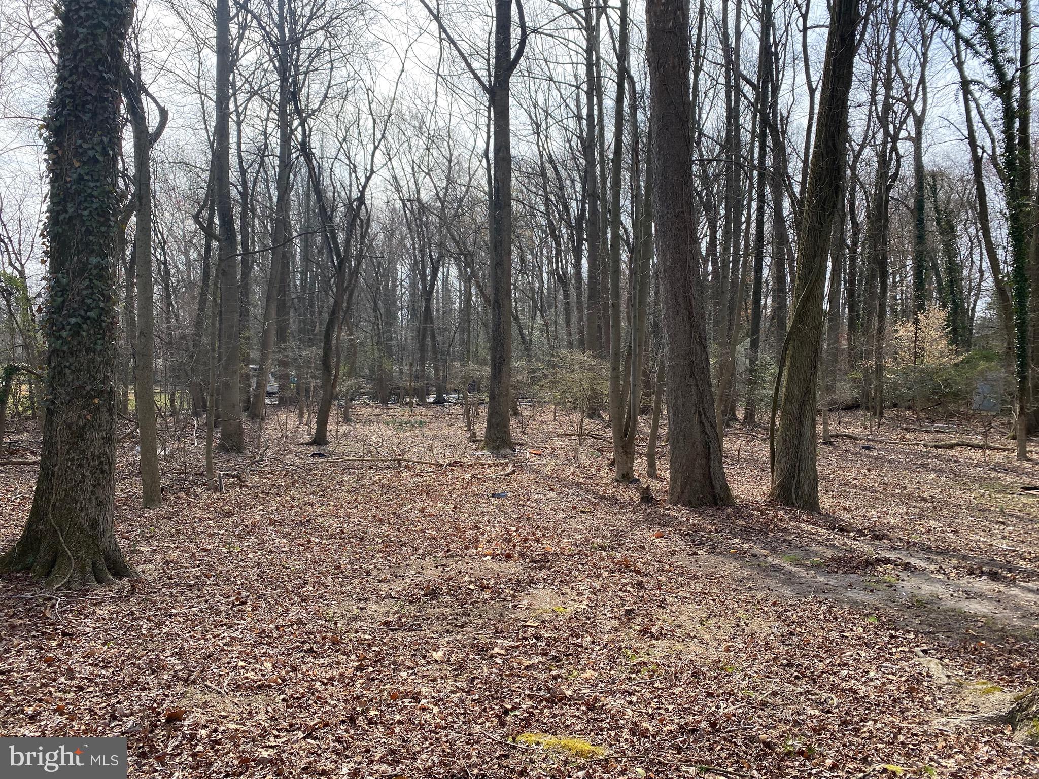 24 Naylor Avenue Clementon, NJ 08021 - Photo 10 of 10 View From Backyard