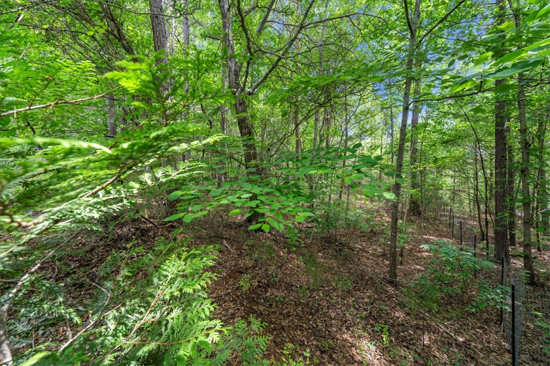 405 Whispering Lane Seneca, SC 29672 - Photo 36 of 38