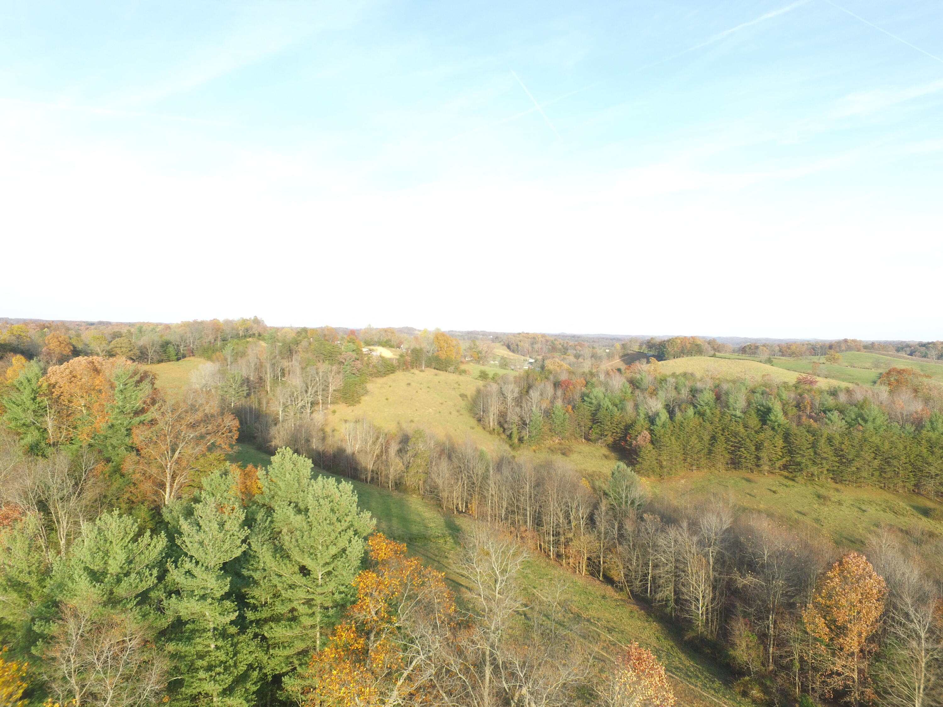 294 Hooster Run Road Wellington, KY 40387 - Photo 7 of 24 DJI_0012