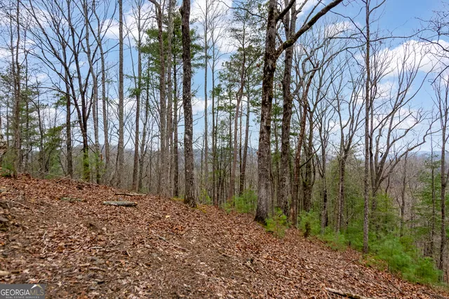 a backyard of a house