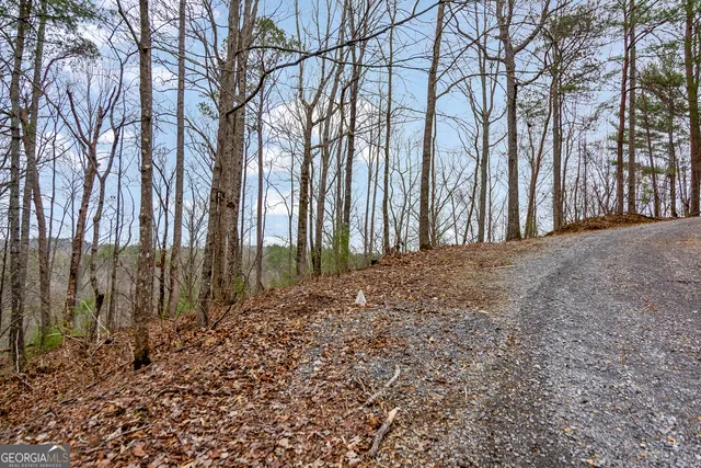 $32,900 | Lot 1694 Shade Tree Drive, Talking Rock, GA 30175