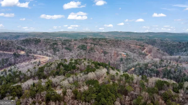 a view of backyard with green space