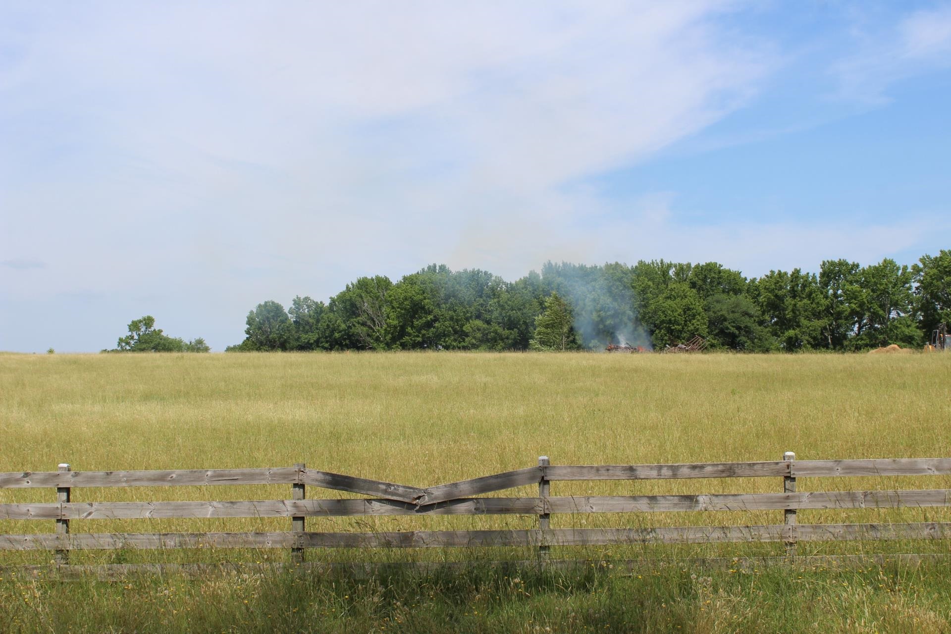 Lot 8 Ted Smith Road Rutherfordton, NC 28139 - Photo 4 of 25