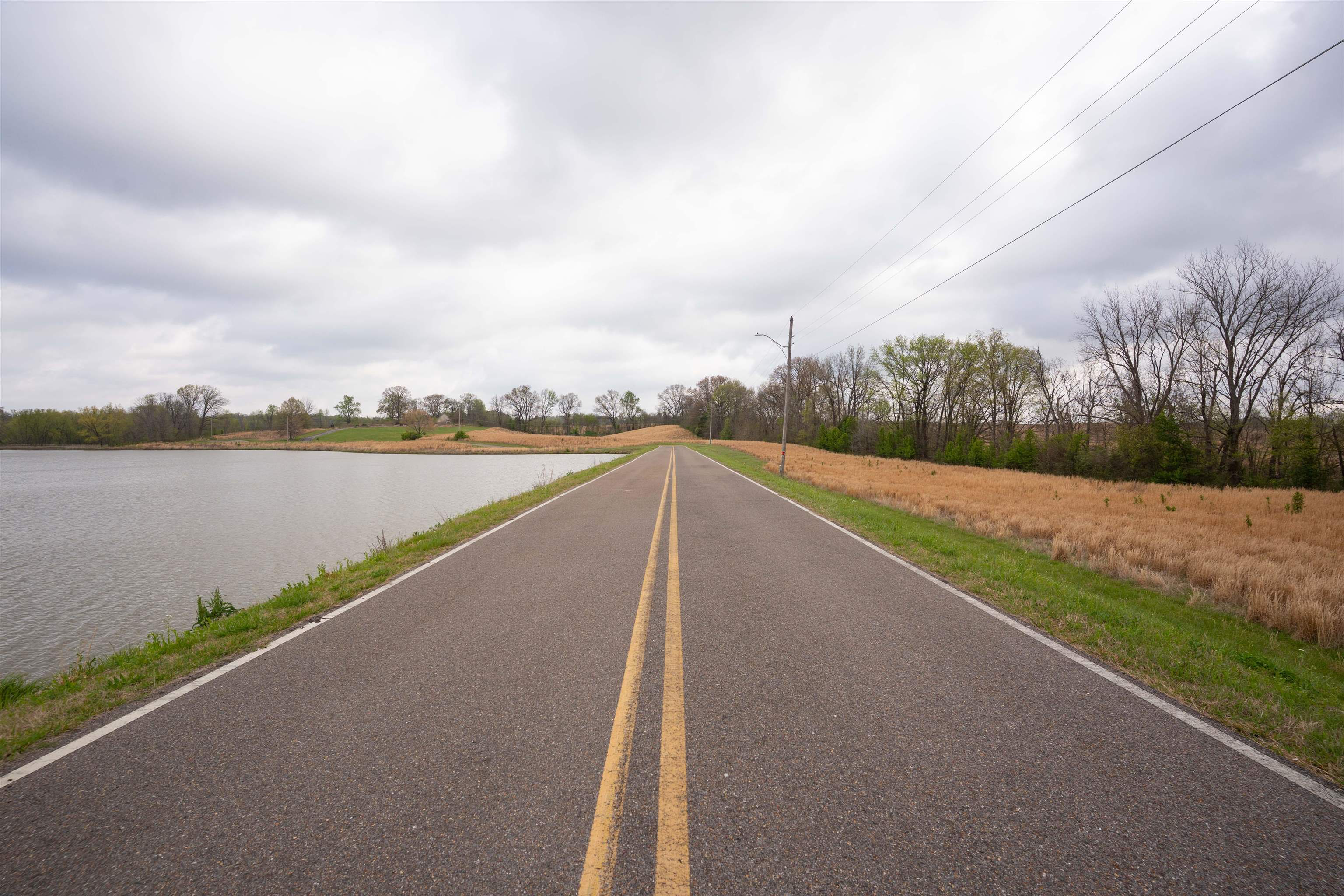 0 Hunters Trace Drive Ripley, TN 38063 - Photo 16 of 33 a view of a lake with a big yard and large trees