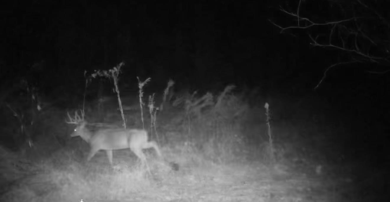 0 Hunters Trace Drive Ripley, TN 38063 - Photo 22 of 33