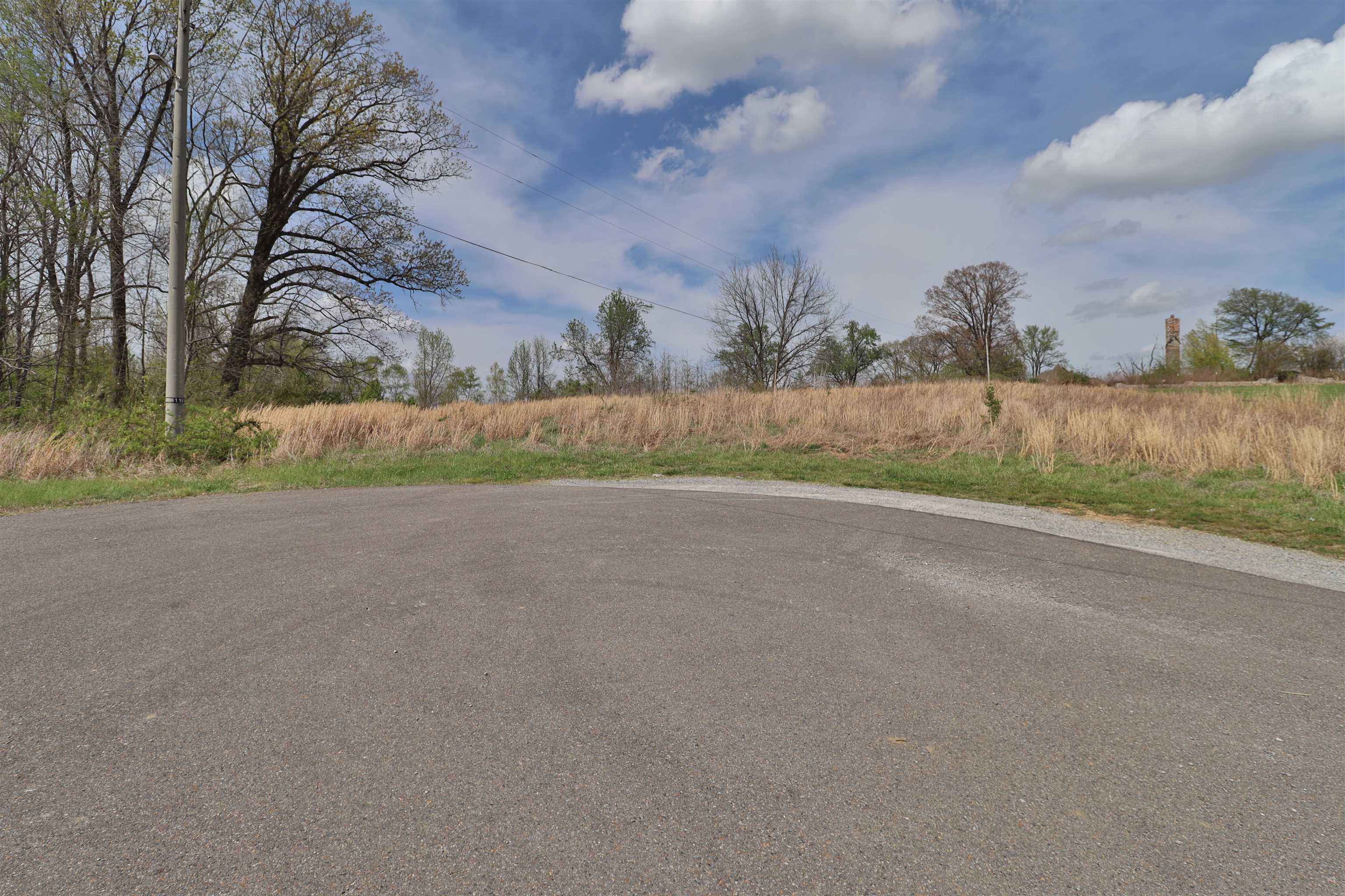 0 Hunters Trace Drive Ripley, TN 38063 - Photo 30 of 33 front view of a house with a yard