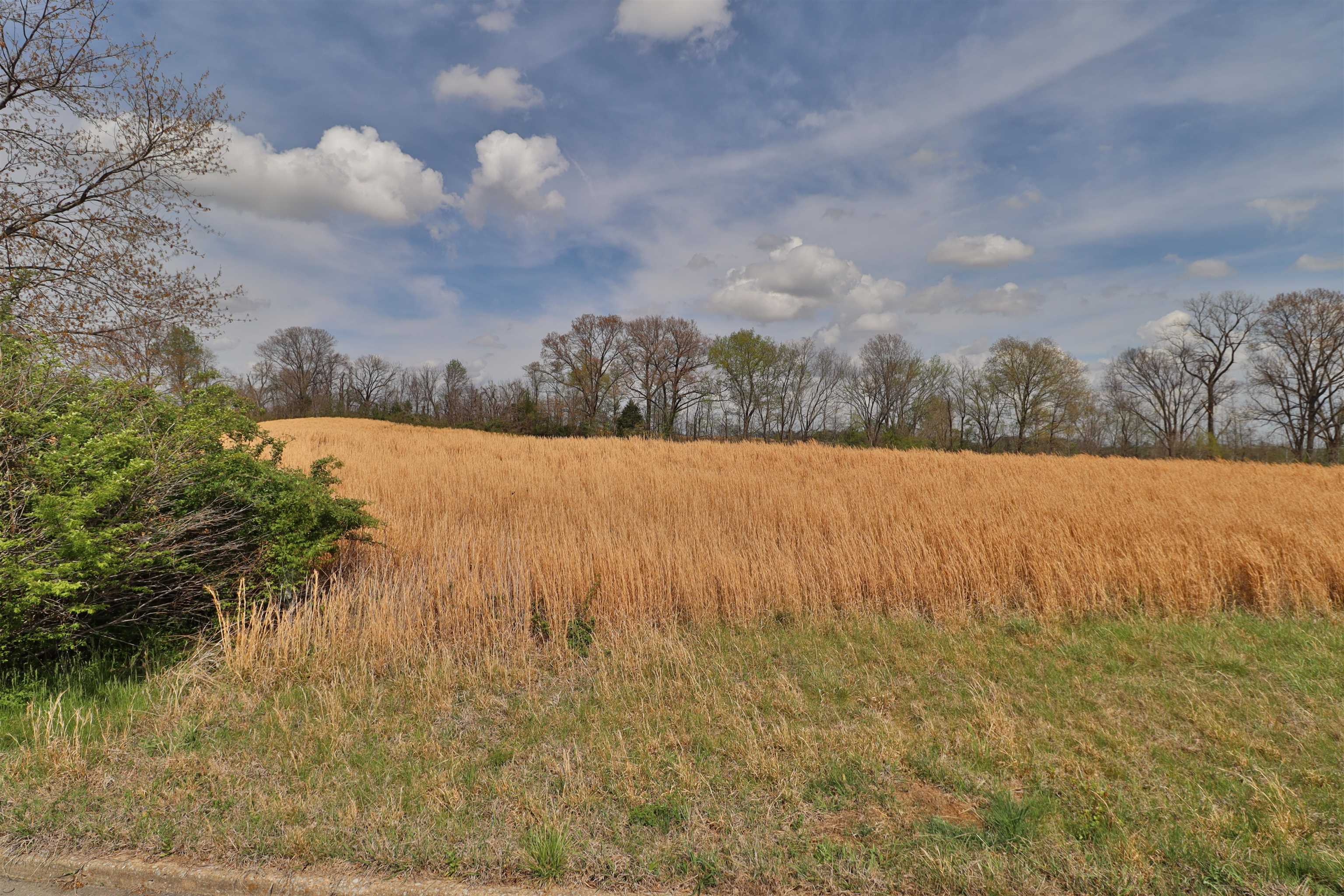 0 Hunters Trace Drive Ripley, TN 38063 - Photo 31 of 33 a view of lake and mountain