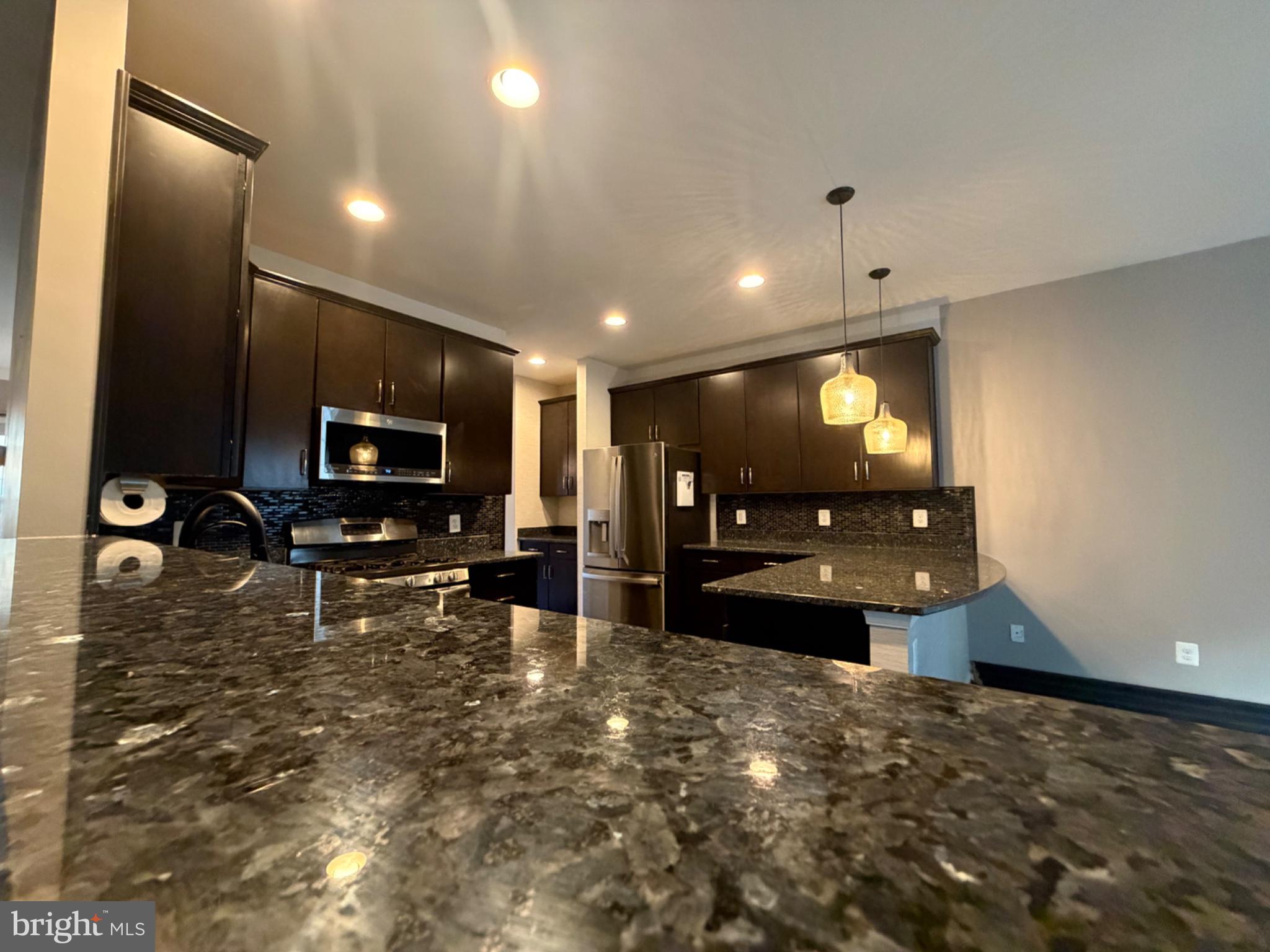 25333 Wakestone Terrace Chantilly, VA 20152 - Photo 89 of 109 Sleek modern kitchen with elegant finishes.