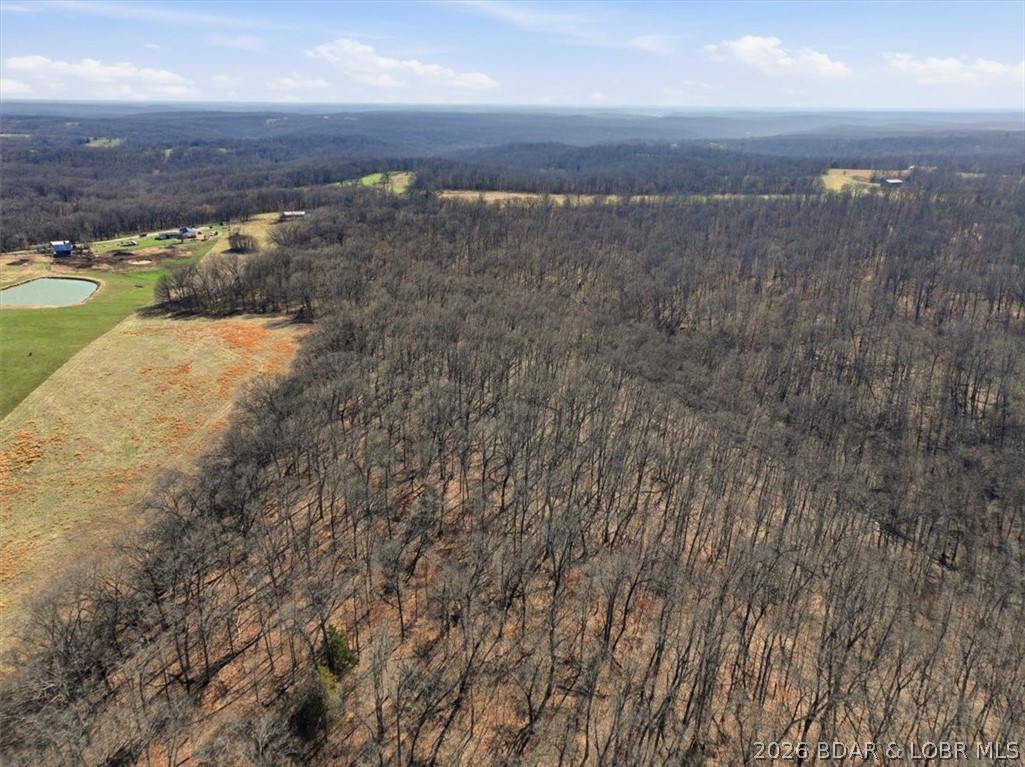 Tbd Beechnut Road Stover, MO 65078 - Photo 16 of 22
