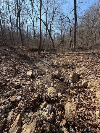 $305,000 | Tbd Beechnut Road, Stover, MO 65078