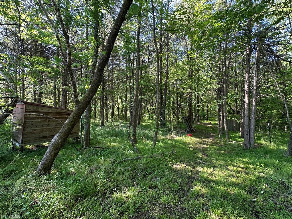 0 Bonkin Lake Road Mocksville, NC 27028 - Photo 4 of 9