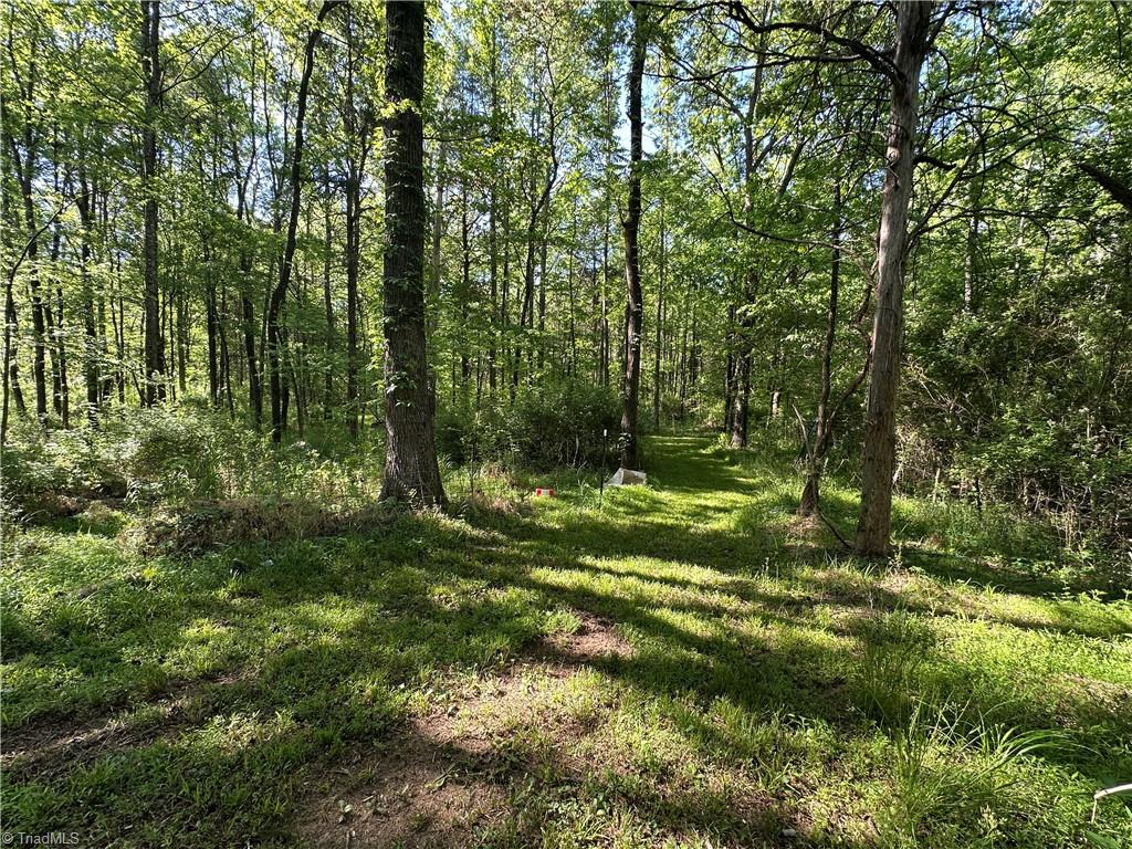 0 Bonkin Lake Road Mocksville, NC 27028 - Photo 5 of 9