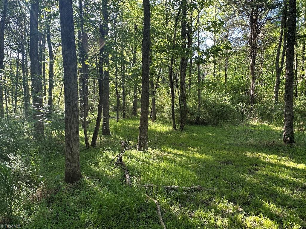 0 Bonkin Lake Road Mocksville, NC 27028 - Photo 6 of 9