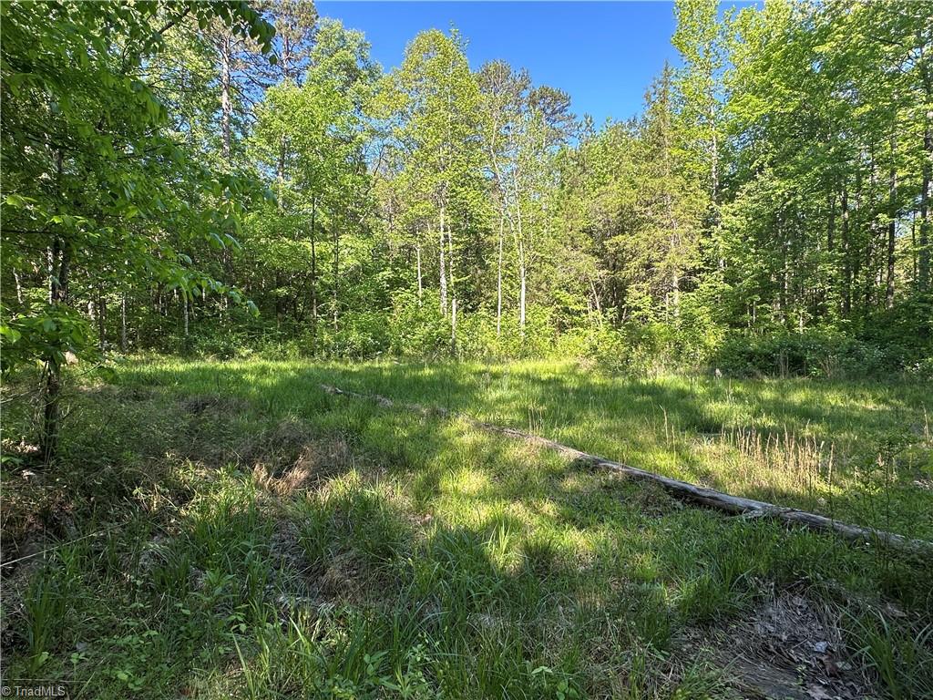 0 Bonkin Lake Road Mocksville, NC 27028 - Photo 7 of 9