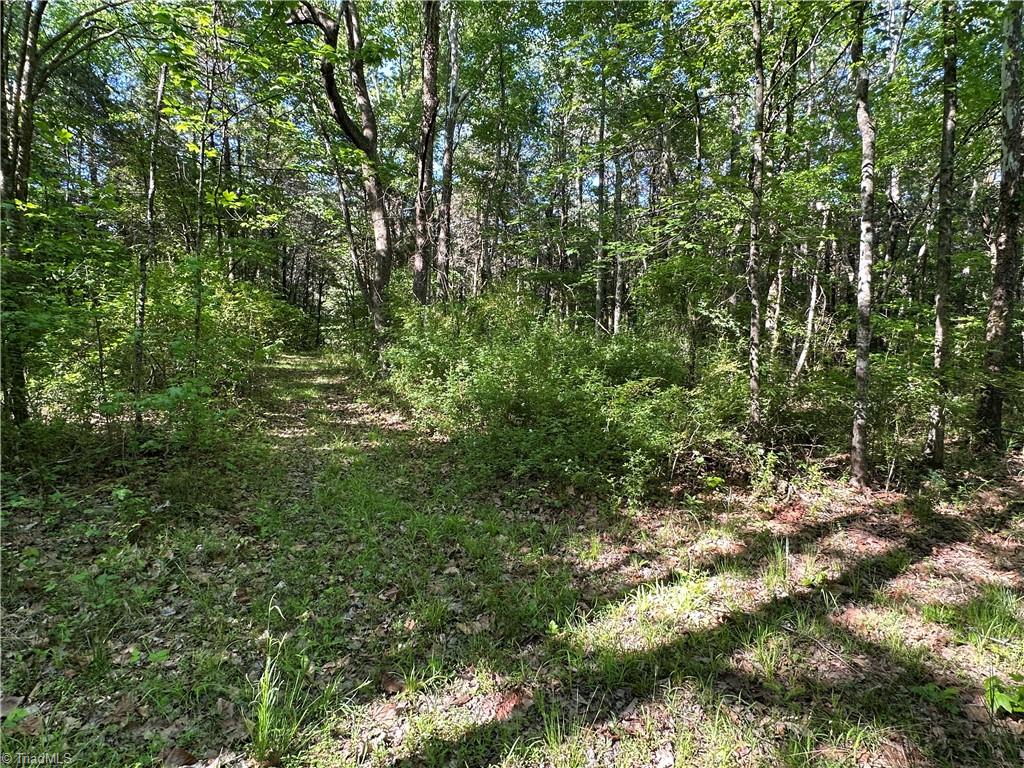 0 Bonkin Lake Road Mocksville, NC 27028 - Photo 8 of 9