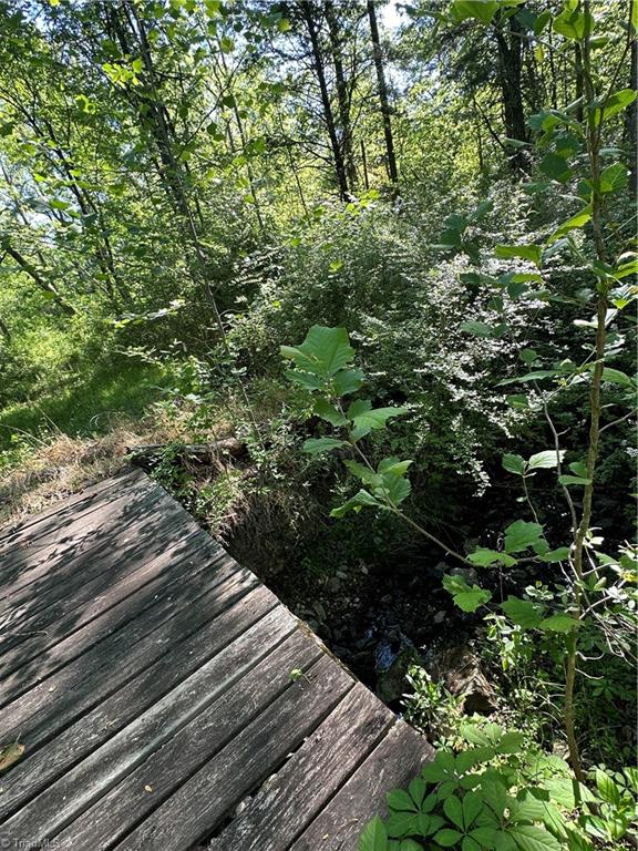 0 Bonkin Lake Road Mocksville, NC 27028 - Photo 9 of 9