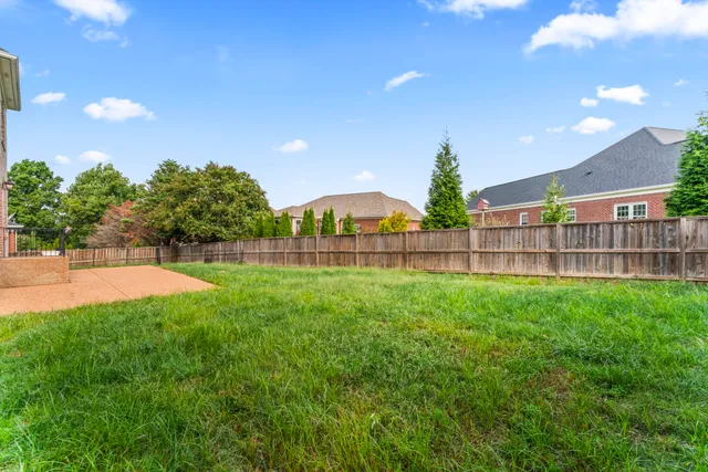 a view of backyard with green space