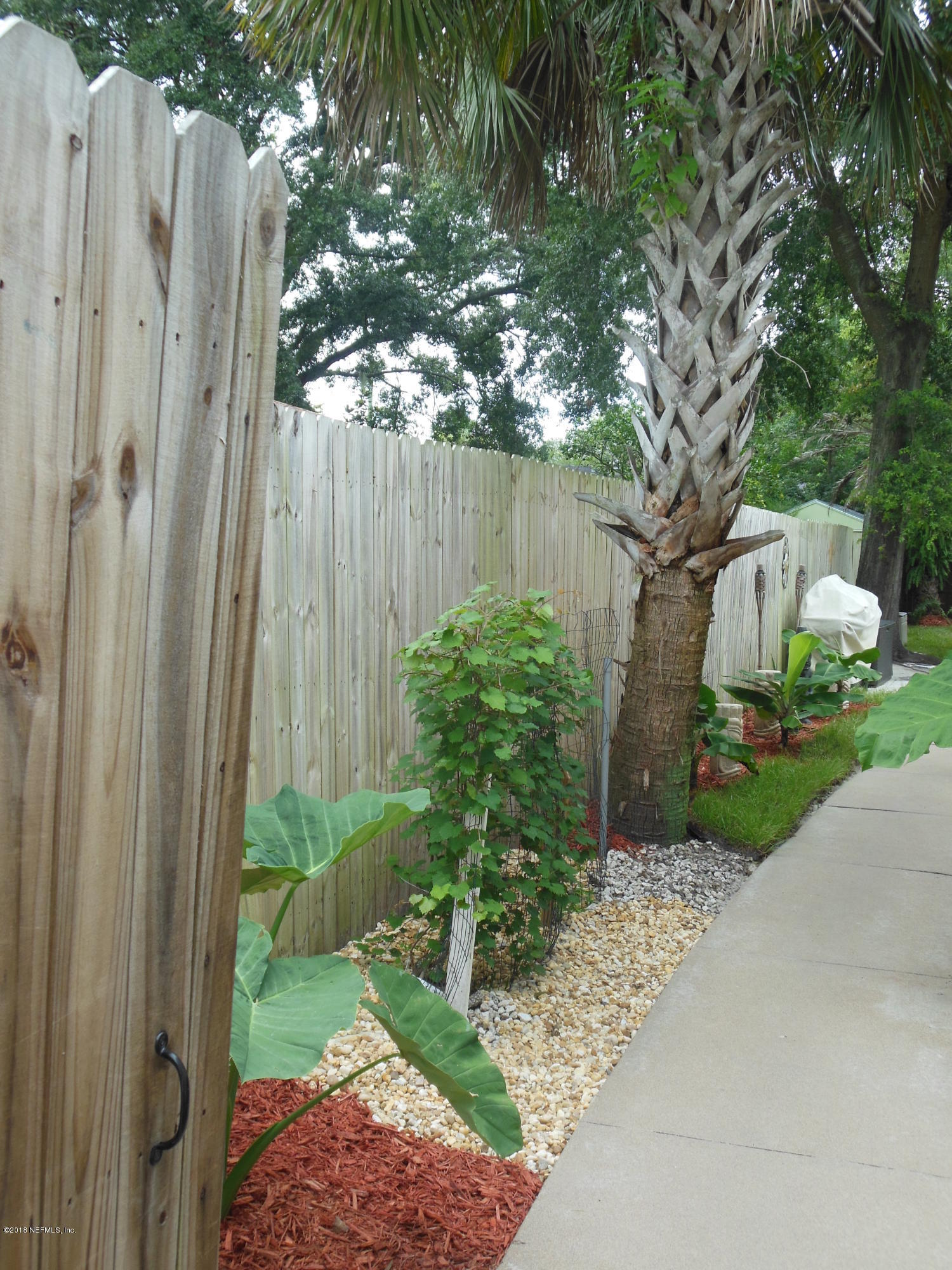 2005 Samontee Road Jacksonville, FL 32211 - Photo 33 of 55 2018-07-27 11.45.39