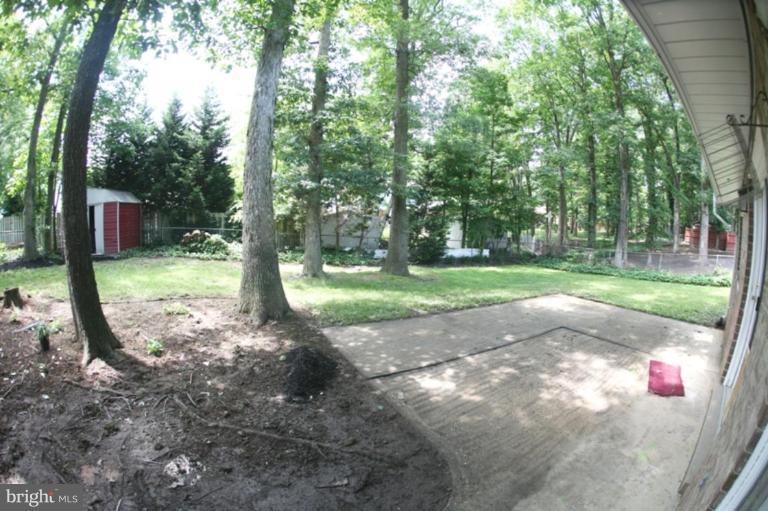 6802 Rolling Road Springfield, VA 22152 - Photo 24 of 28 Back yard