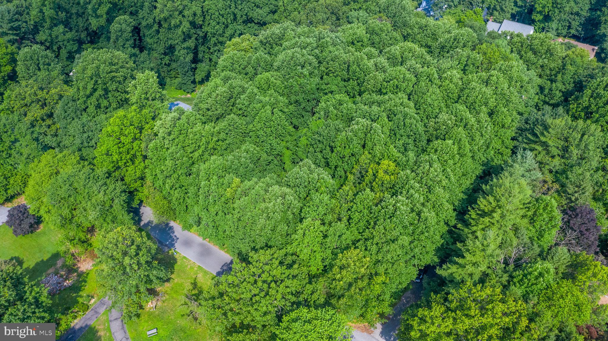 6428 Lochridge Road Columbia, MD 21044 - Photo 2 of 5 Aerial