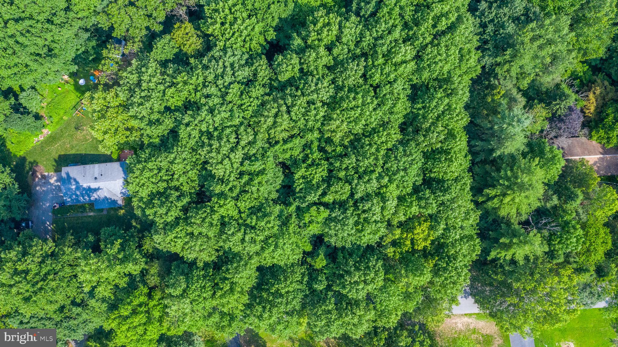6428 Lochridge Road Columbia, MD 21044 - Photo 4 of 5 Aerial