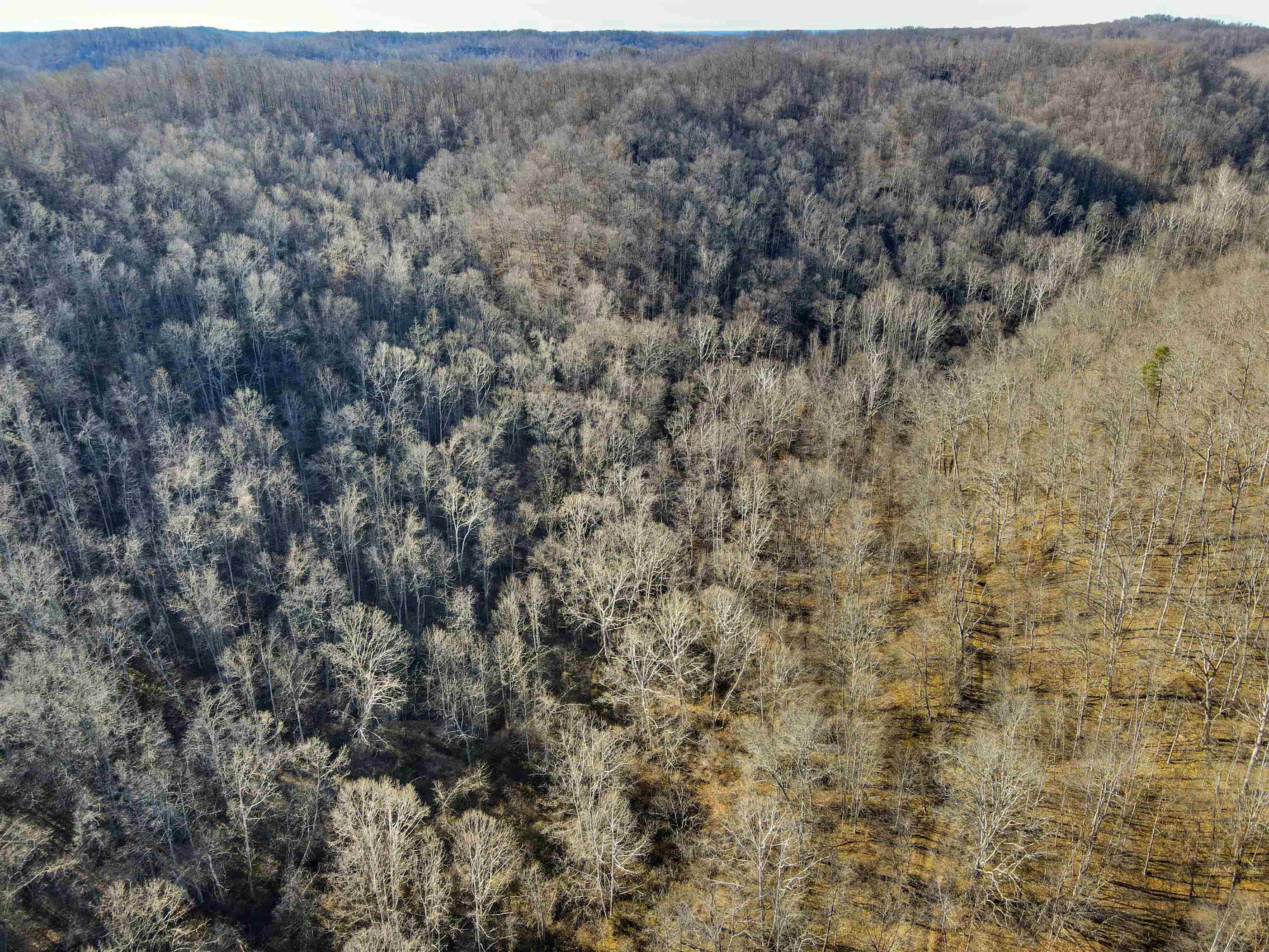 0 Dixie Road Grayson, KY 41143 - Photo 8 of 11 Gallery Image 8