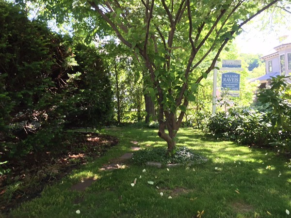 9 Salisbury Road Brookline, MA 02445 - Photo 23 of 25