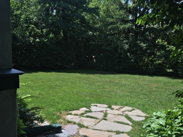 9 Salisbury Road Brookline, MA 02445 - Photo 3 of 25