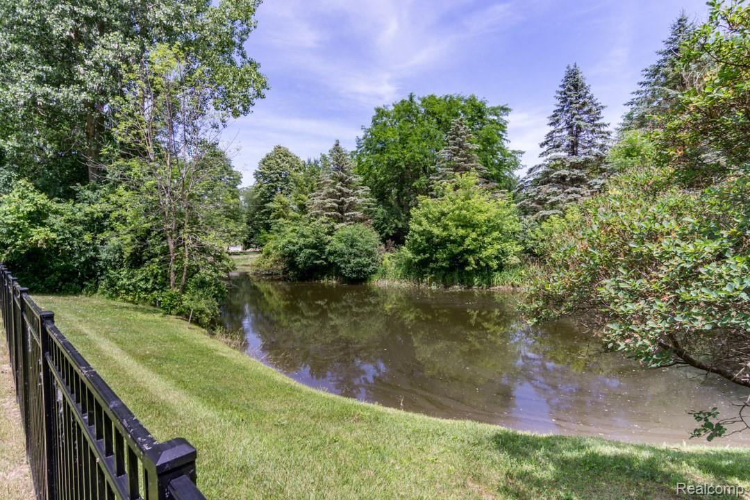 8630 Napier Road Northville, MI 48168 - Photo 38 of 42 Pond.jpg