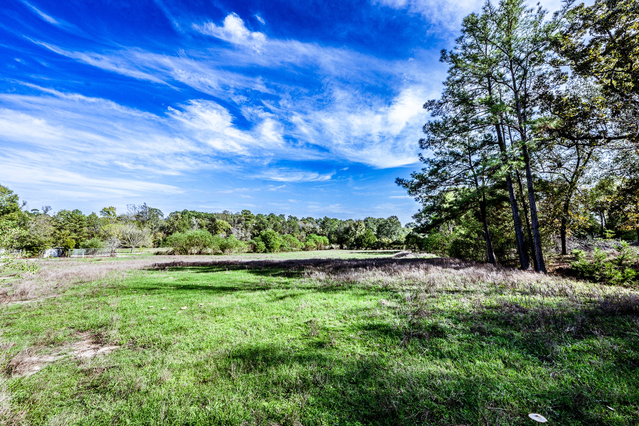 290 Townley Ranch Road Huntsville, TX 77320 - Photo 50 of 50