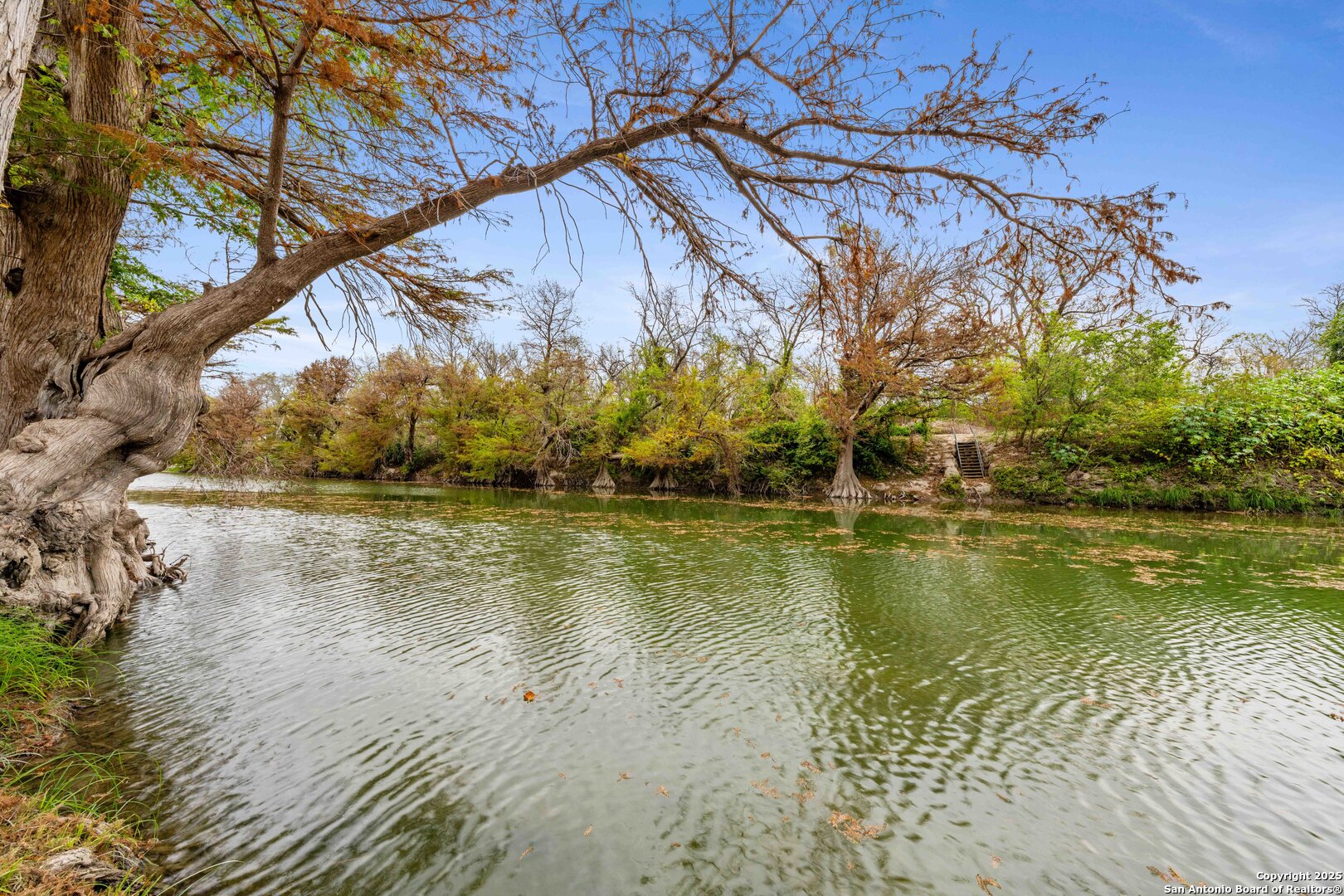 1244 Whispering Water Spring Branch, TX 78070 - Photo 15 of 24