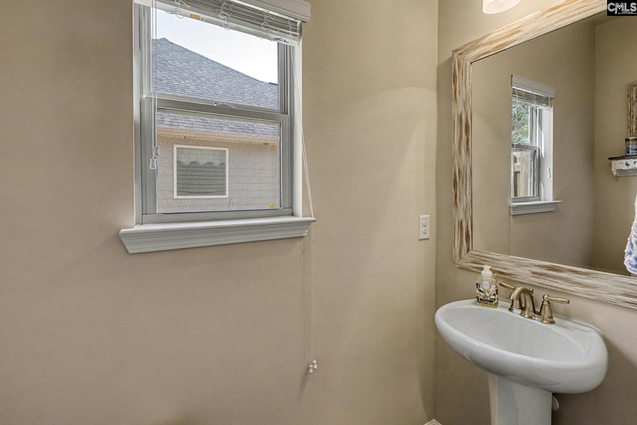 303 Lever Bottom Court Chapin, SC 29036 - Photo 19 of 45