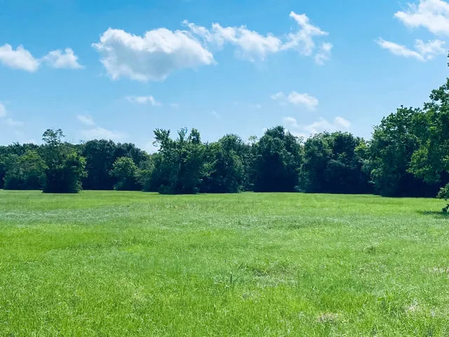 a backyard of a house with lots of green space