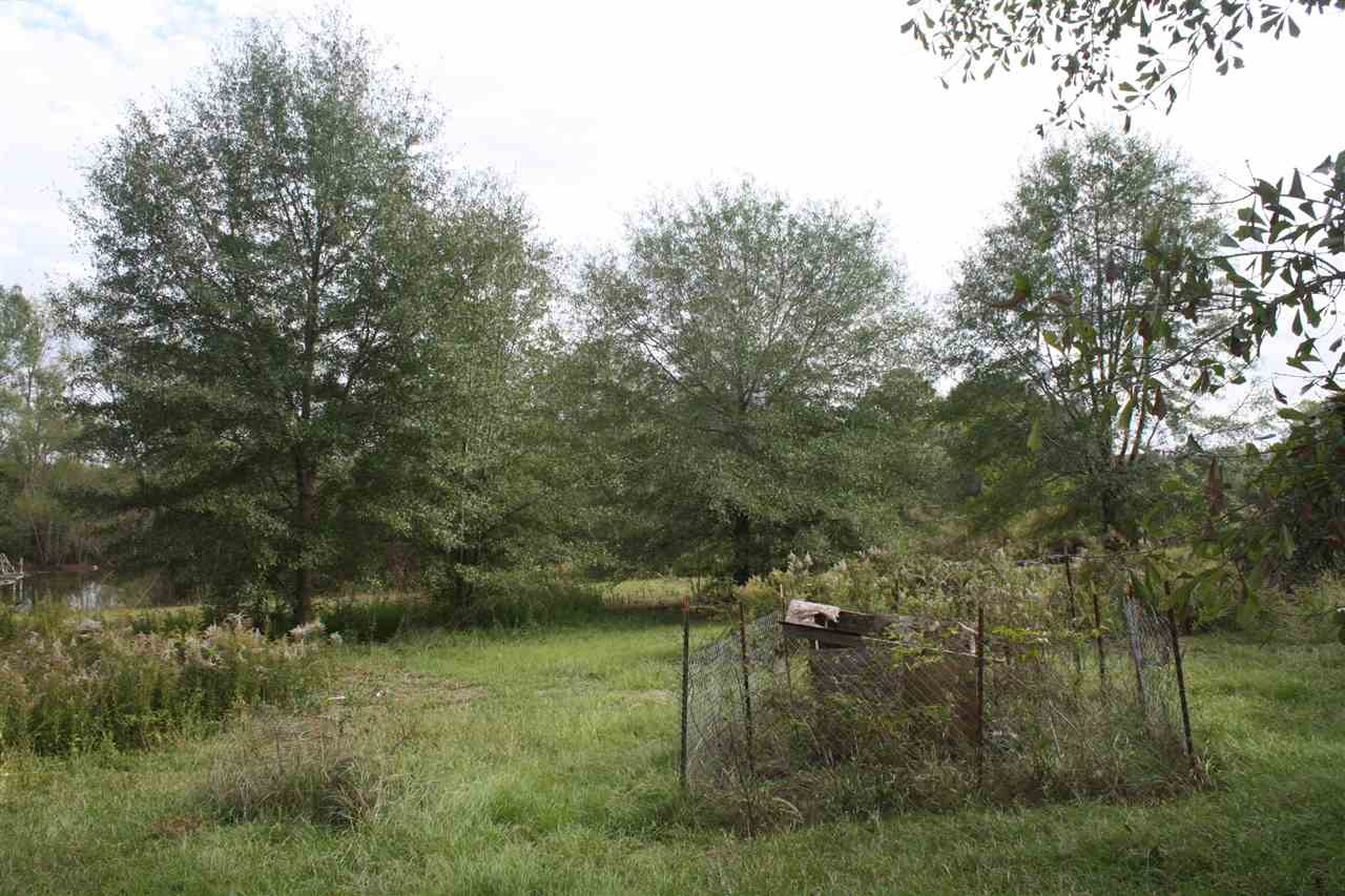 184 Ragan Road Pelahatchie, MS 39145 - Photo 5 of 13 Photo 5