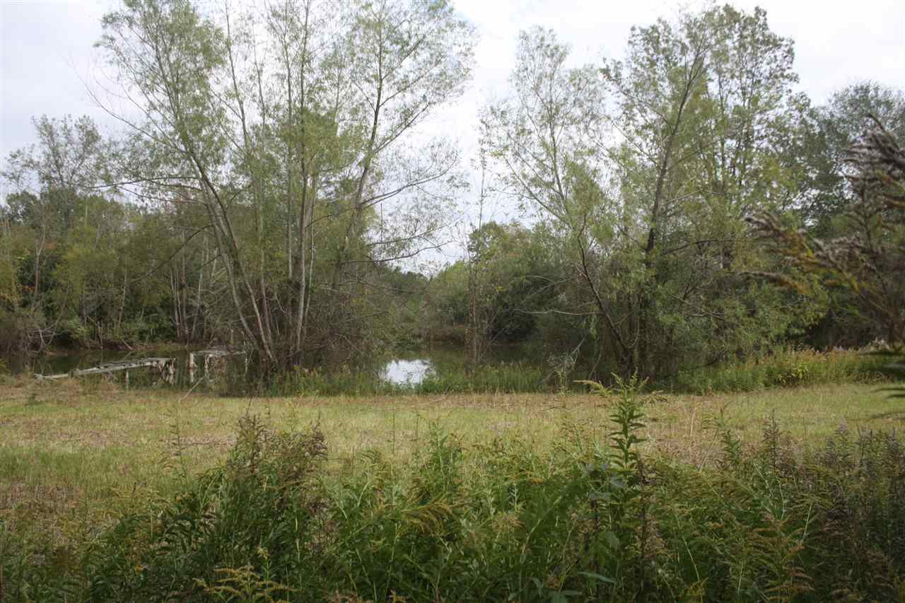 184 Ragan Road Pelahatchie, MS 39145 - Photo 7 of 13 Photo 7