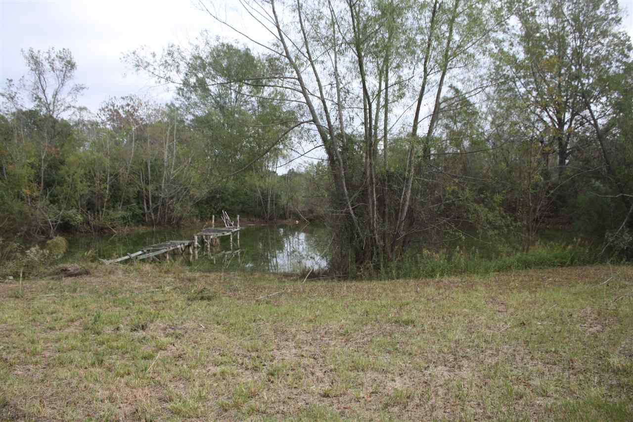 184 Ragan Road Pelahatchie, MS 39145 - Photo 8 of 13 Photo 8