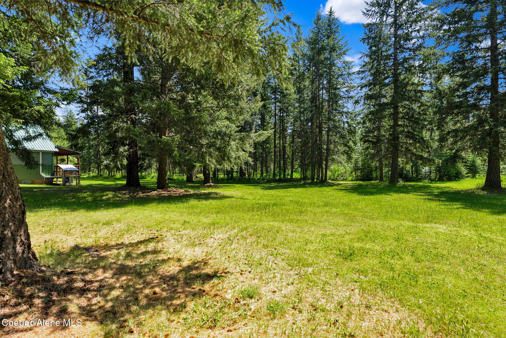 24805 North Cedar Mountain Road Athol, ID 83801 - Photo 59 of 82 55-web-or-mls-SkyLight - Cedar Mountain