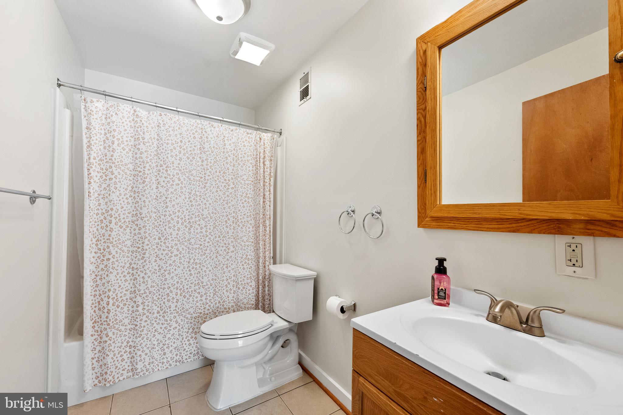 445 Springvale Road Great Falls, VA 22066 - Photo 48 of 62 a bathroom with a sink a toilet and a mirror