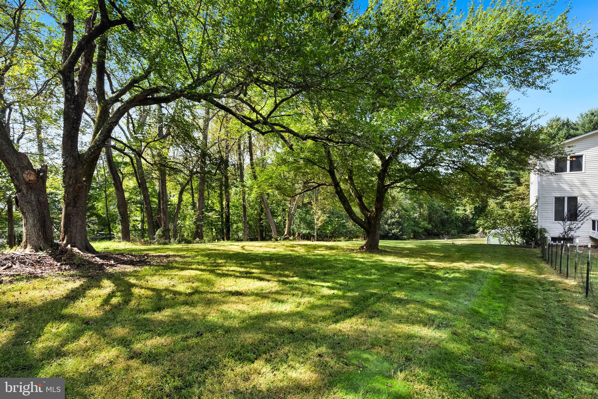 445 Springvale Road Great Falls, VA 22066 - Photo 56 of 62 a view of a trees in a yard