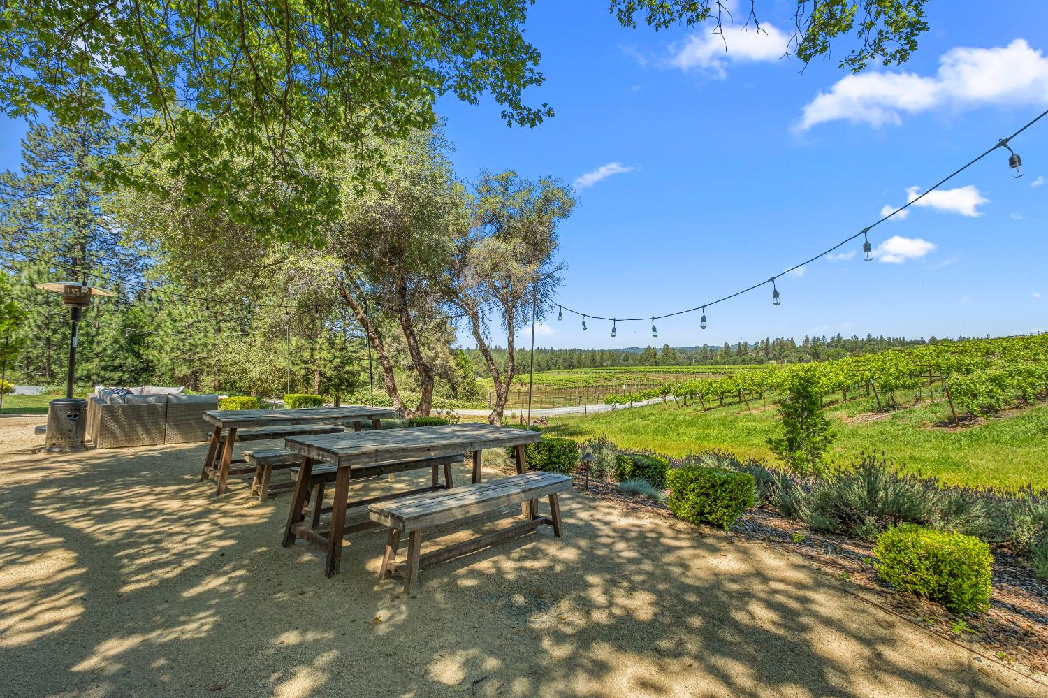 7460 Fairplay Road Somerset, CA 95684 - Photo 37 of 39