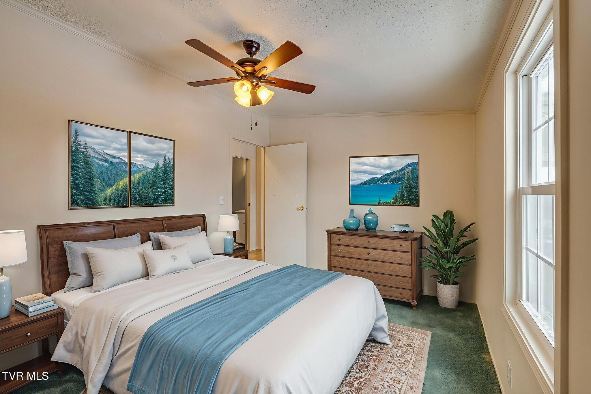 7185 Snapps Ferry Road Afton, TN 37616 - Photo 25 of 34 025 virtually staged