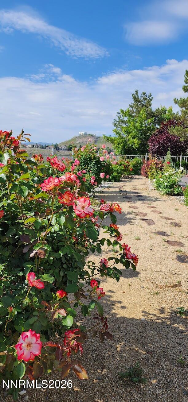 2664 Starr Meadows Loop Reno, NV 89519 - Photo 54 of 58 20230609_085939