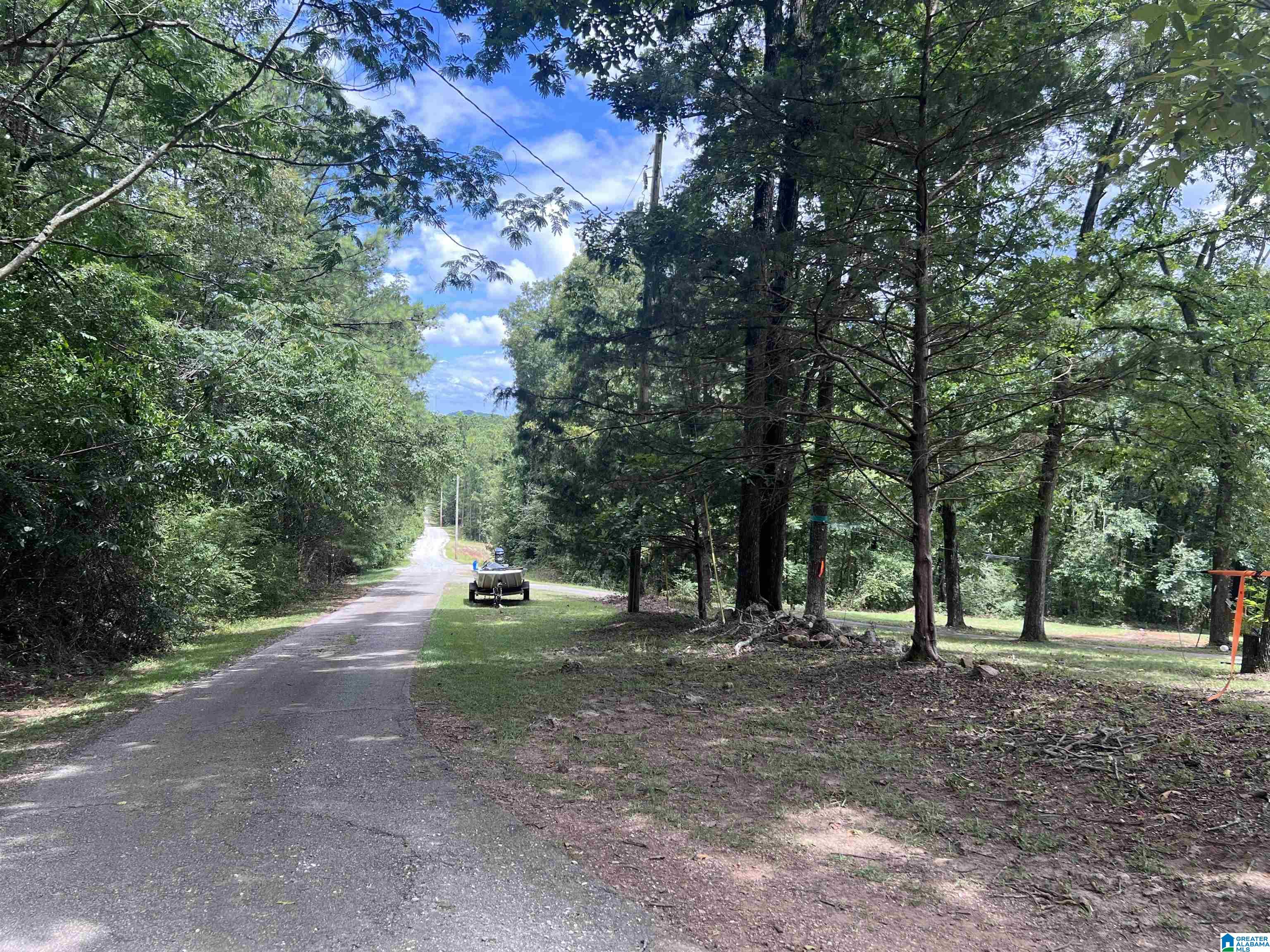 175 Shady Hollow Road Eastaboga, AL 36260 - Photo 31 of 50