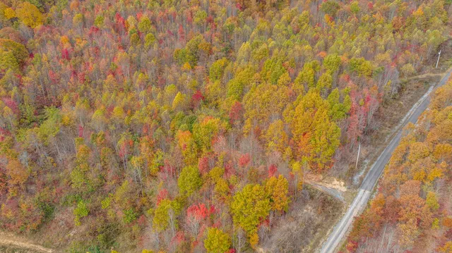 $42,000 | Tbd Paradise Drive, Duffield, VA 24244