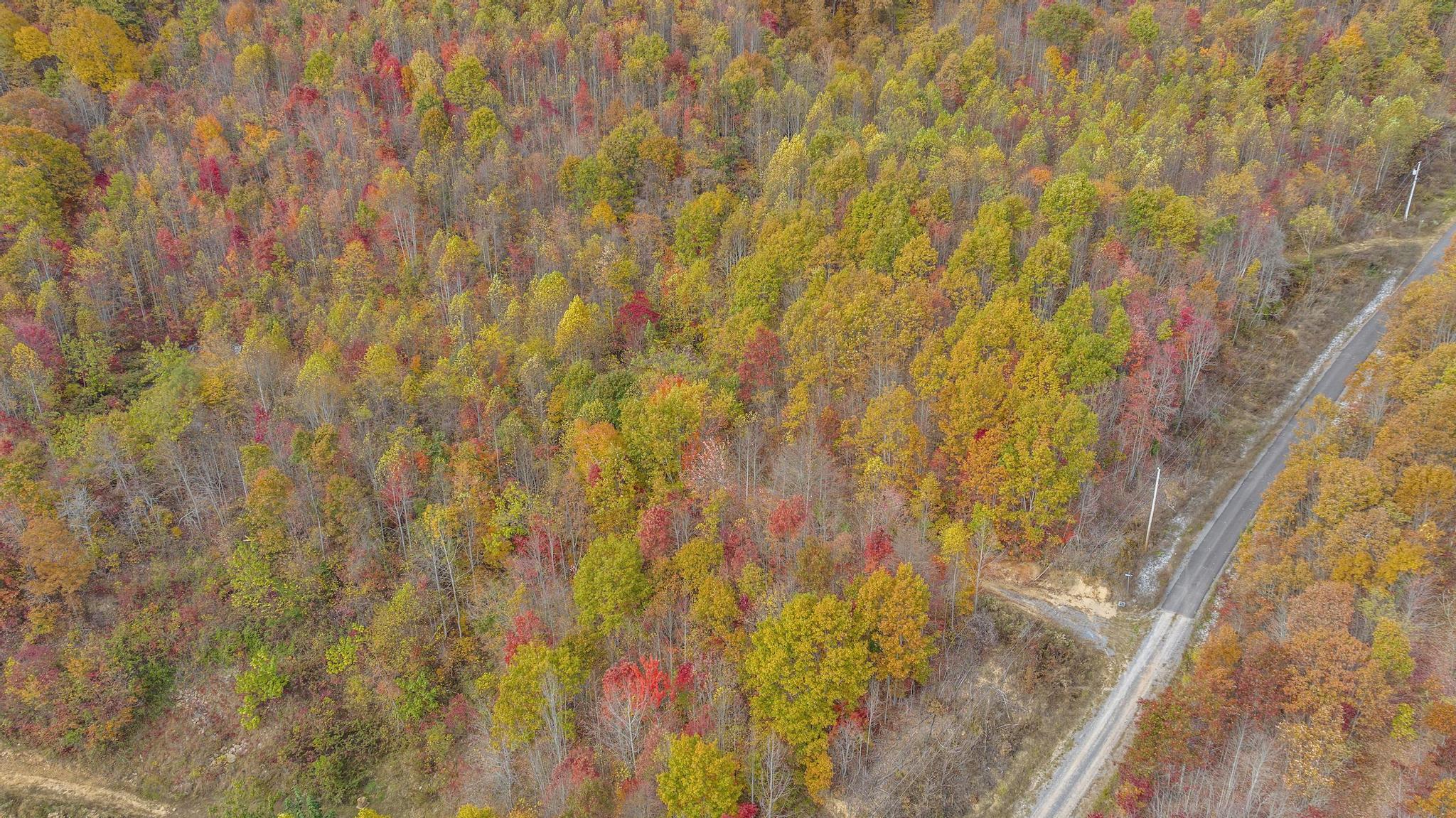 Tbd Paradise Drive Duffield, VA 24244 - Photo 2 of 5 14.1