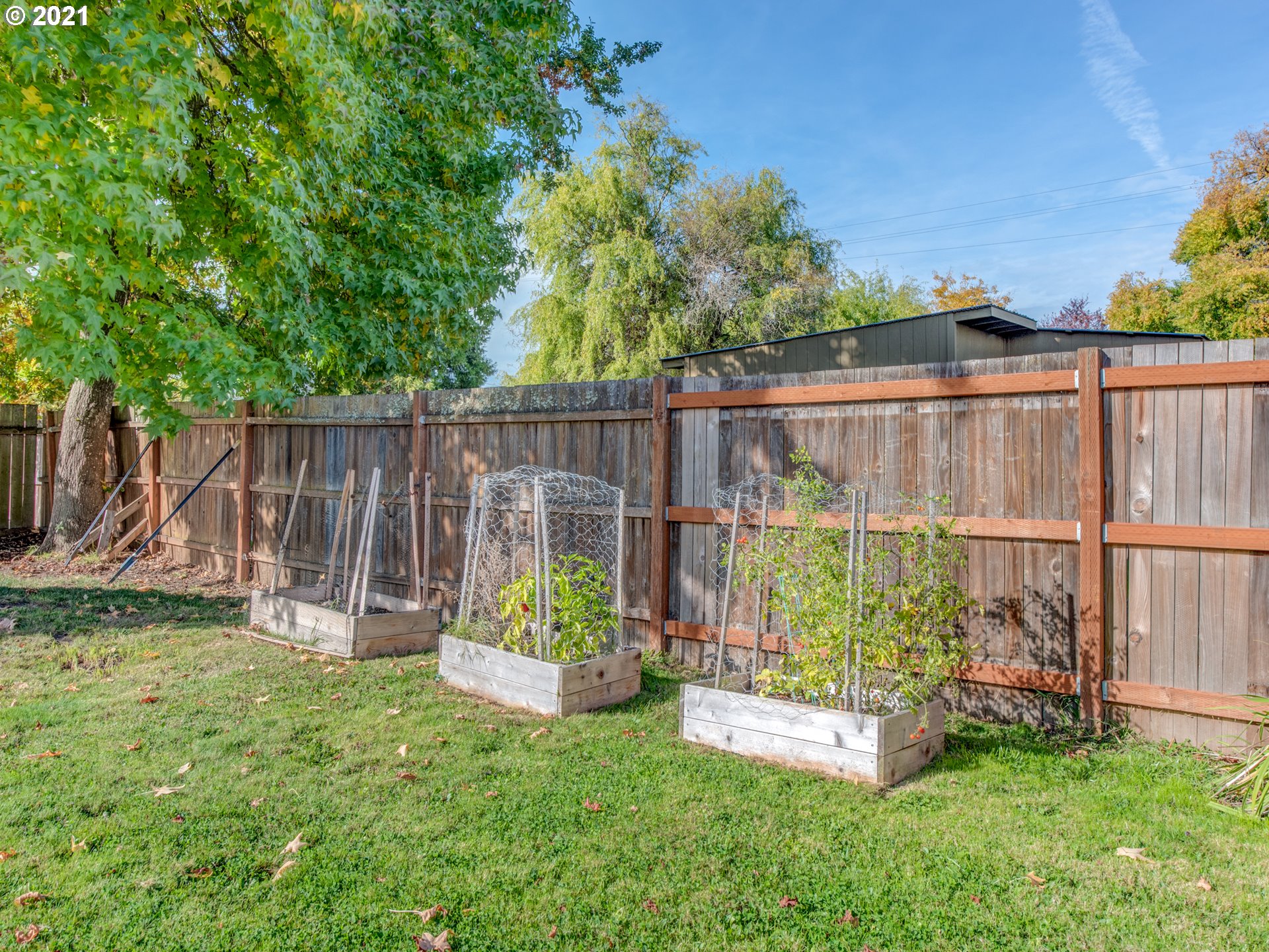 756 North 23rd Street Springfield, OR 97477 - Photo 18 of 22 a view of a backyard with a garden