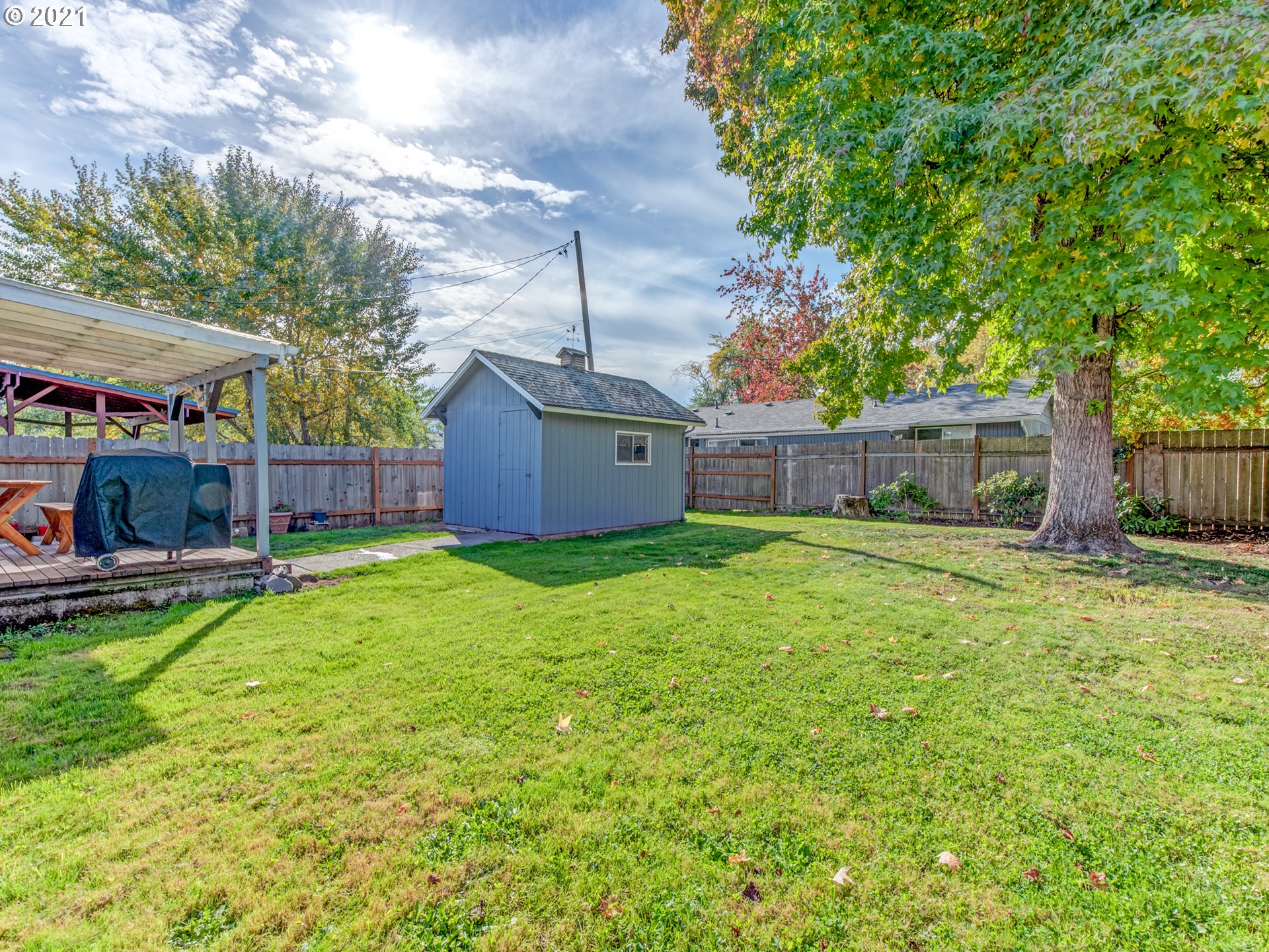 756 North 23rd Street Springfield, OR 97477 - Photo 19 of 22 a view of a backyard with a garden and trees