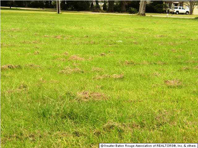 10 Government Street Baton Rouge, LA 70806 - Photo 4 of 6 Gallery Image 4