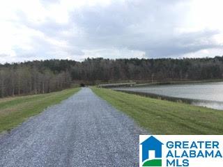 Pioneer Way, Unit 2 Sterrett, AL 35147 - Photo 3 of 24