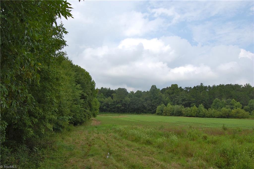1000 Miller Road Walnut Cove, NC 27052 - Photo 2 of 15 Gallery Image 2